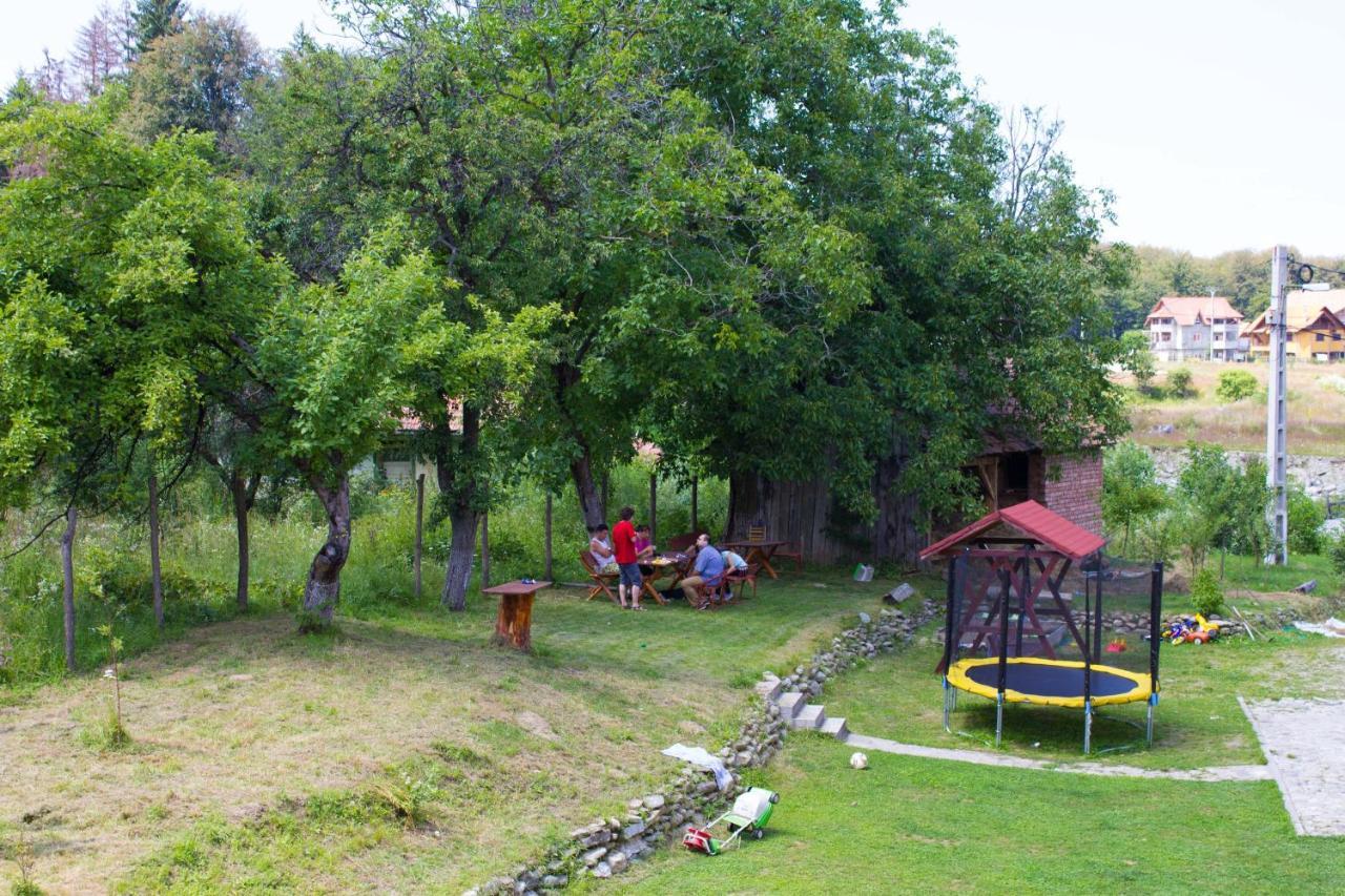 Pension Belmonte Simbata de Sus Ngoại thất bức ảnh